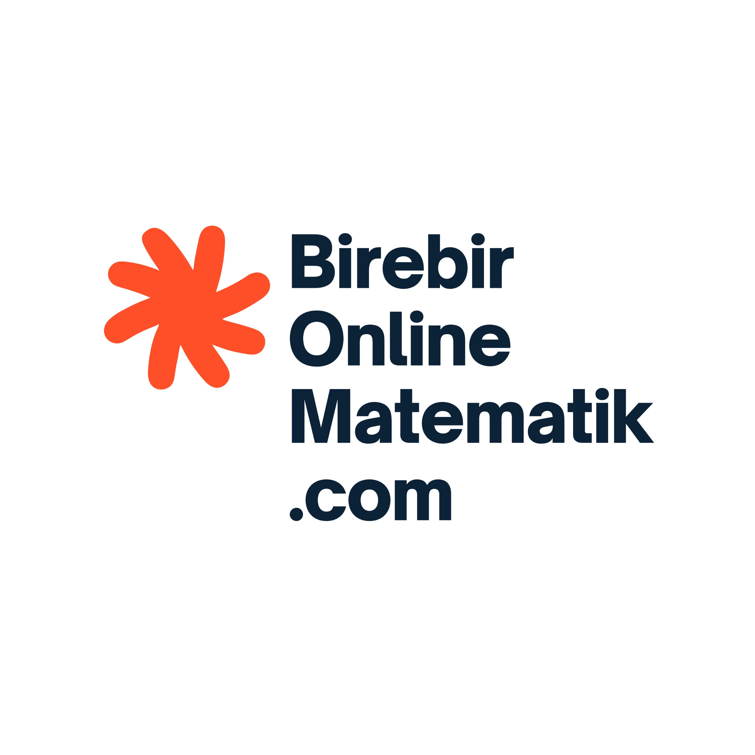 Birebir Online Matematik .com