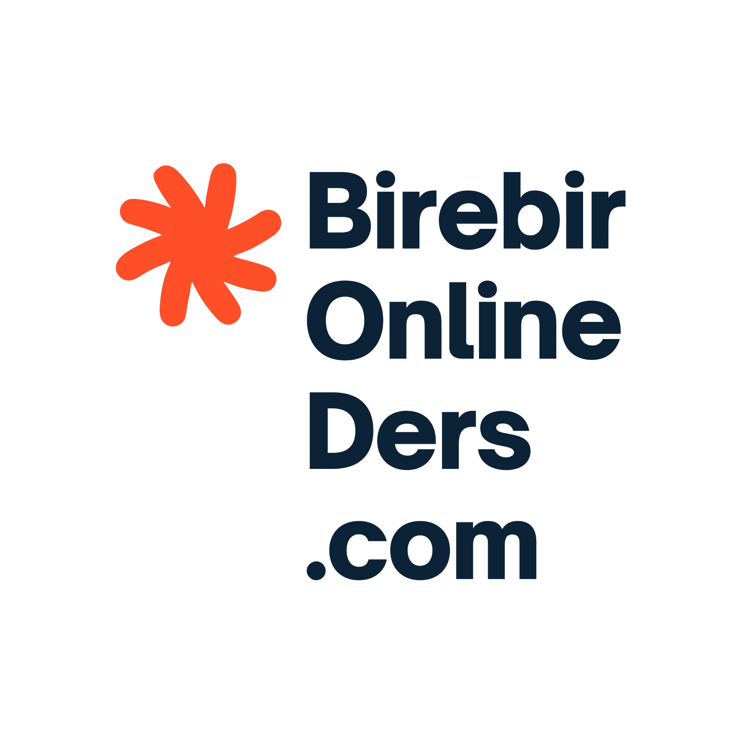 Birebir Online Ders .com